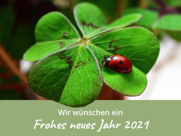 Frohes neues Jahr