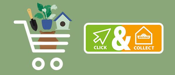Click & Collect