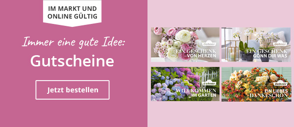 Gutscheine