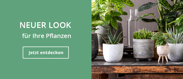 Indoor Übertöpfe & Pflanzgefäße