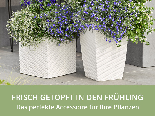 Frisch getopft in den Frühling