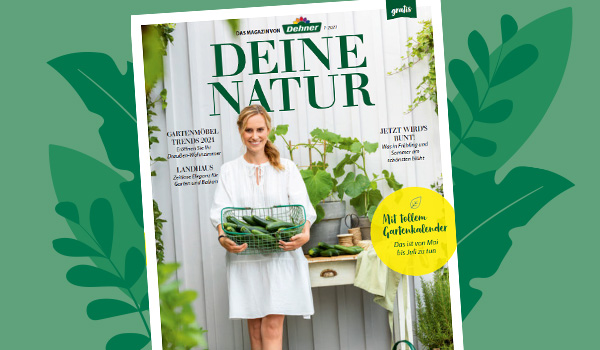 Dehner Magazin