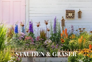 Stauden & Gräser