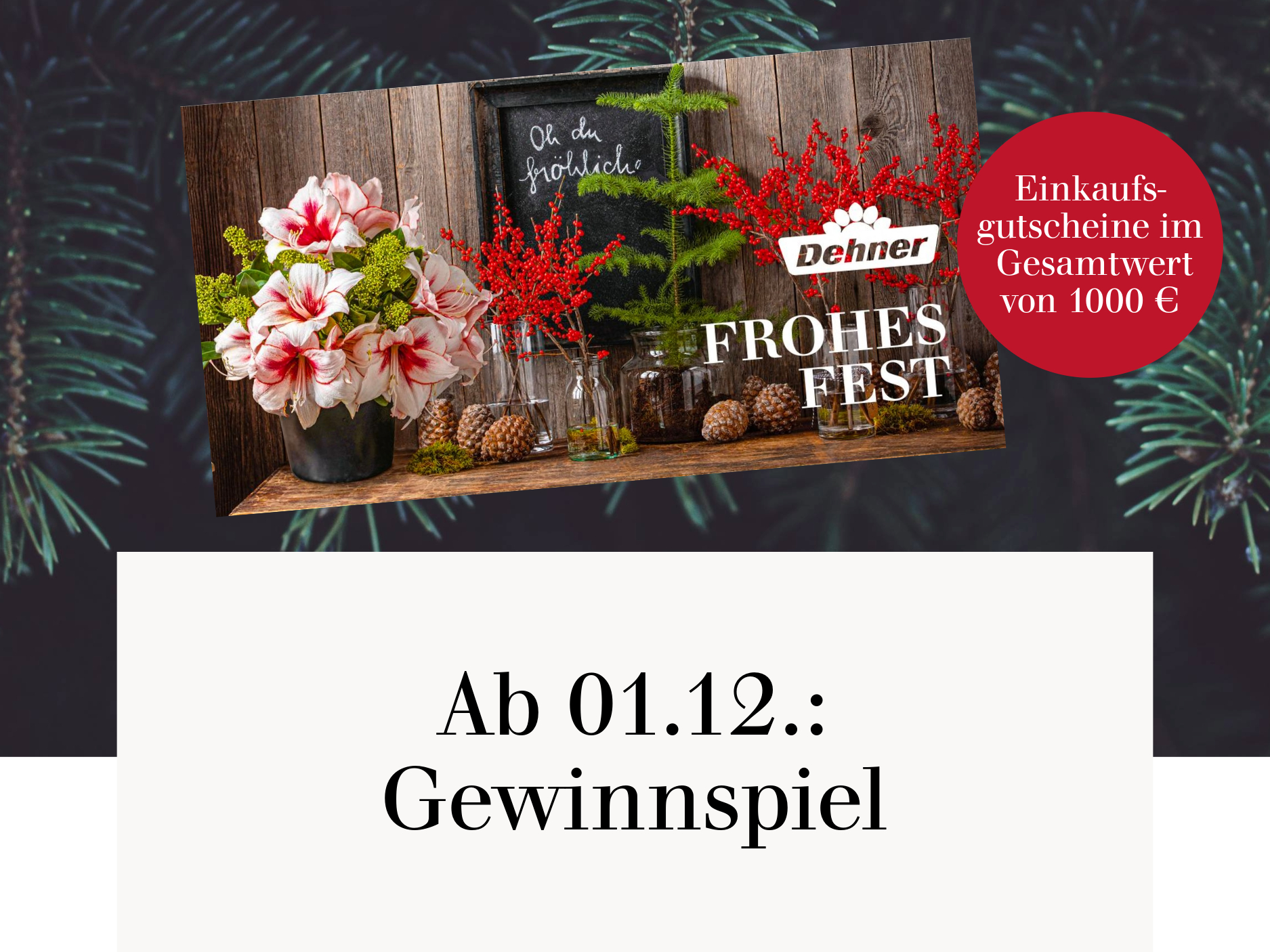 Online-Adventskalender Gewinnspiel