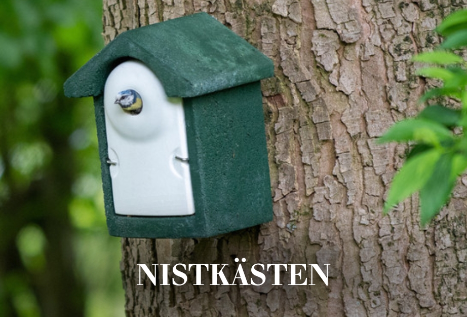 Nistkästen