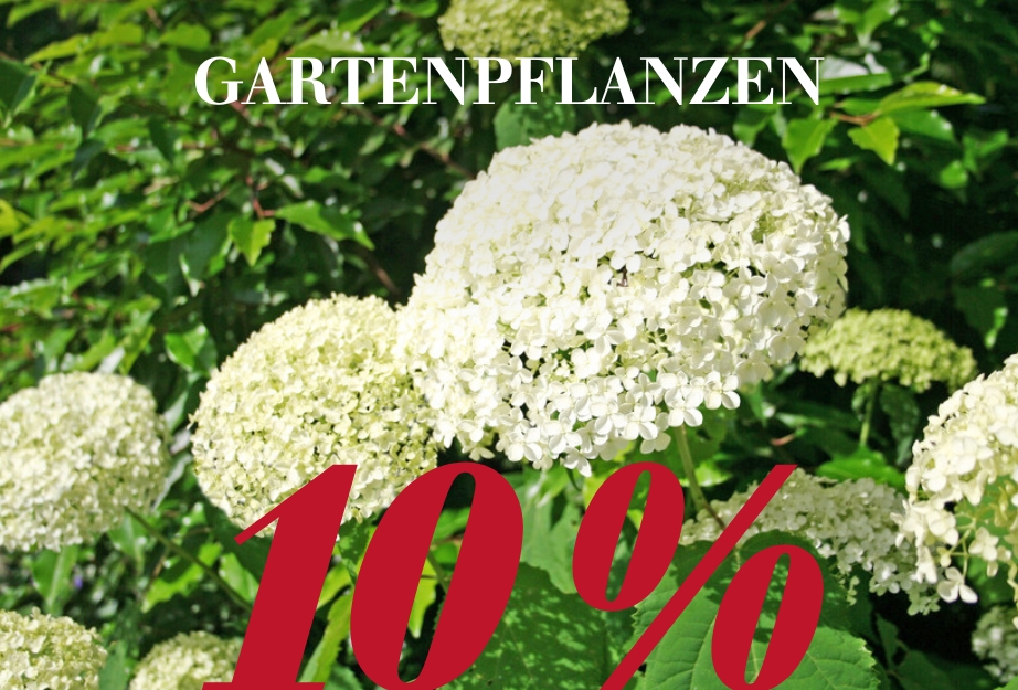 10 % auf Gartenpflanzen