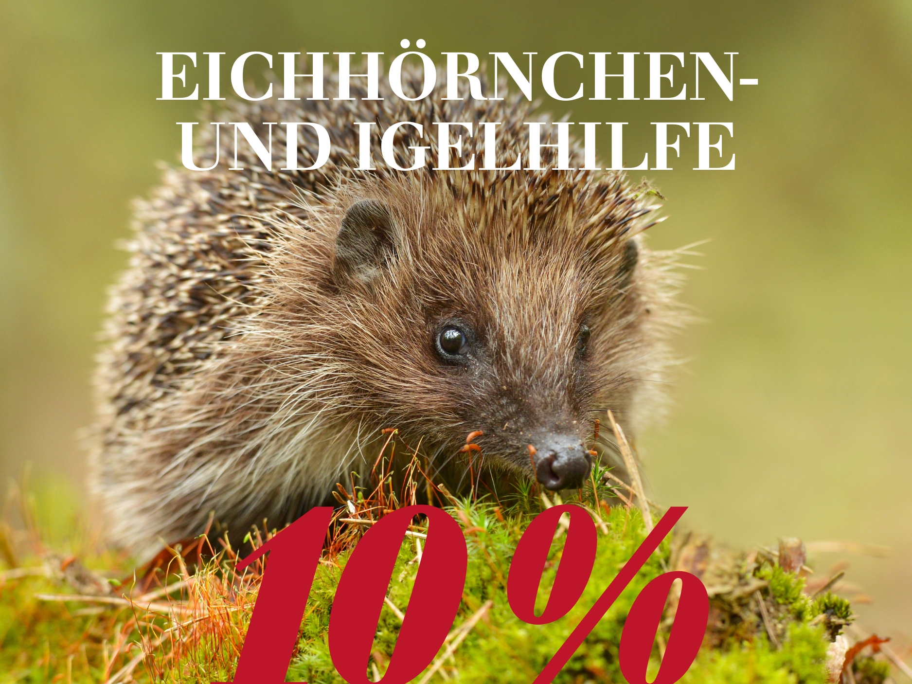 Eichhörnchen- & Igelhilfe