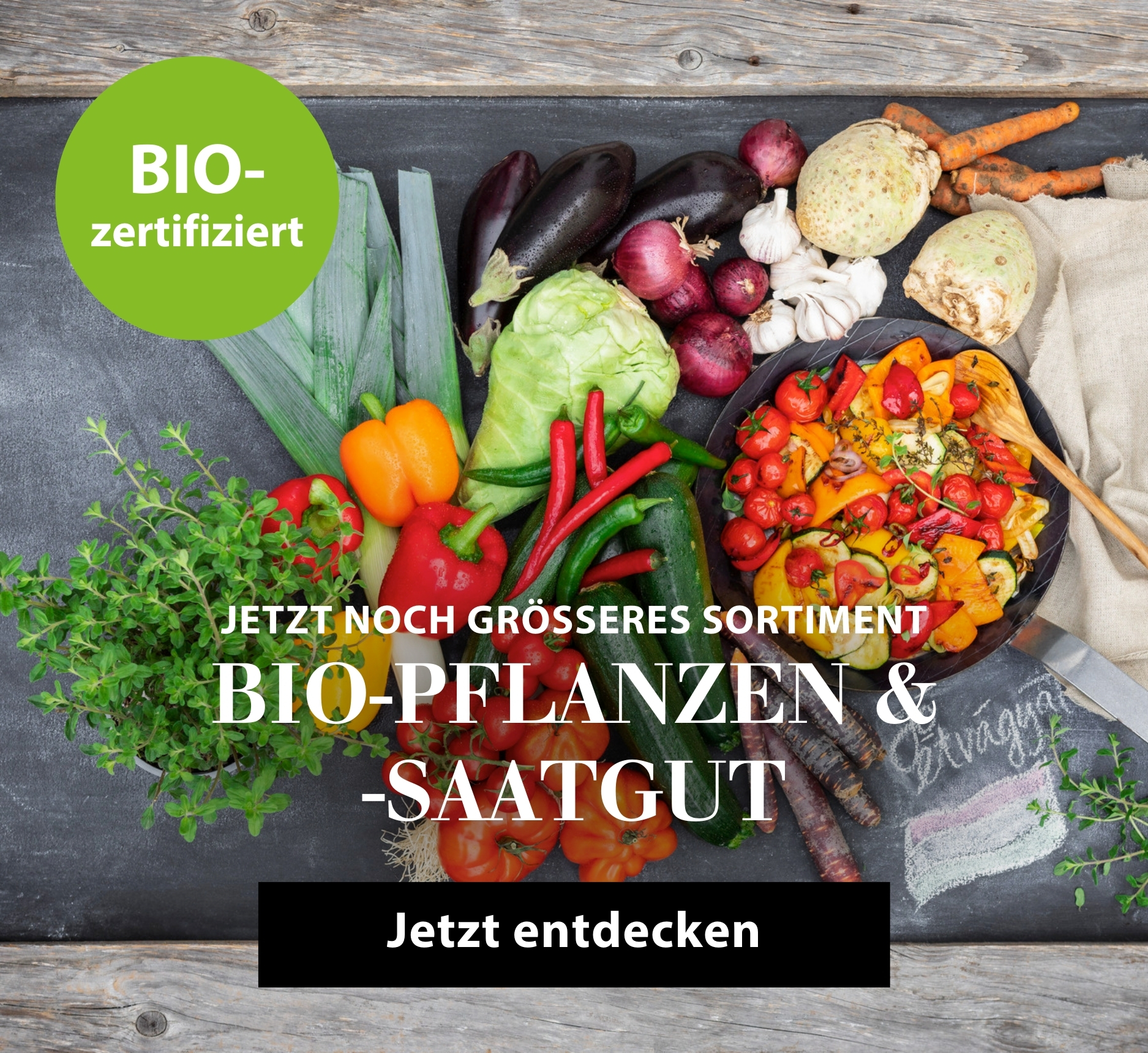 Jetzt noch größeres Sortiment entdecken: Bio-Pflanzen & Sämereien