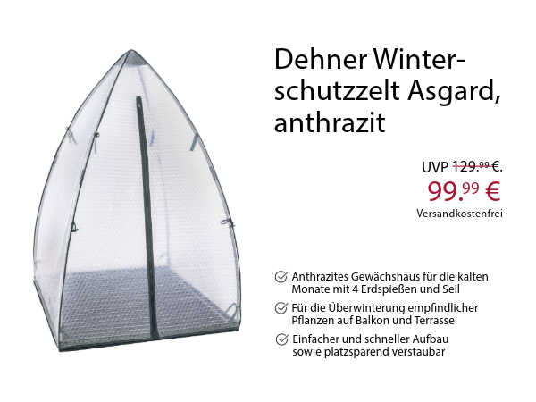 Zum Top-Angebot