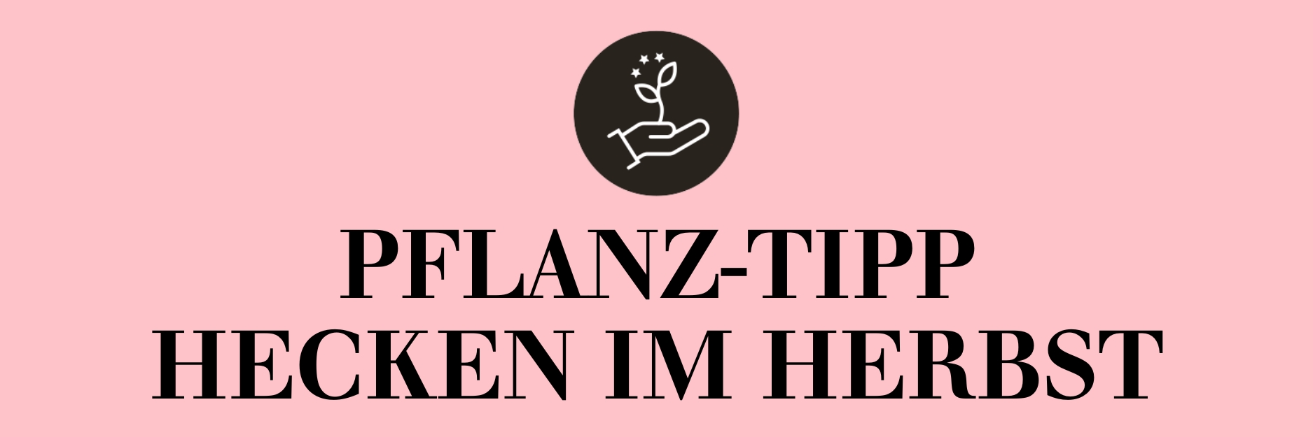Pflanz-Tipp - Hecken im Herbst