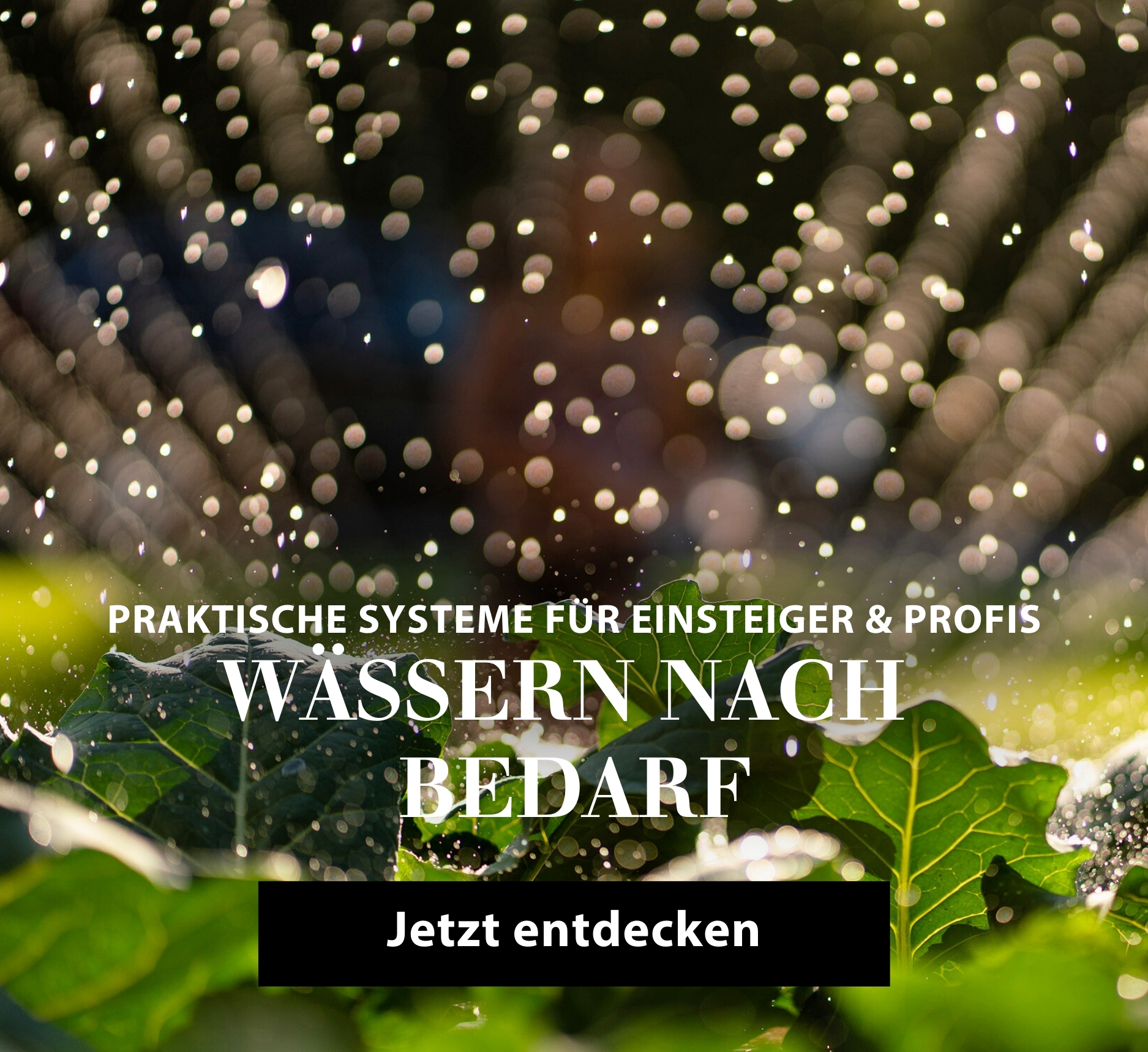 Praktische Systeme für Einsteiger & Profis - Wasser nach Bedarf - Jetzt entdecken