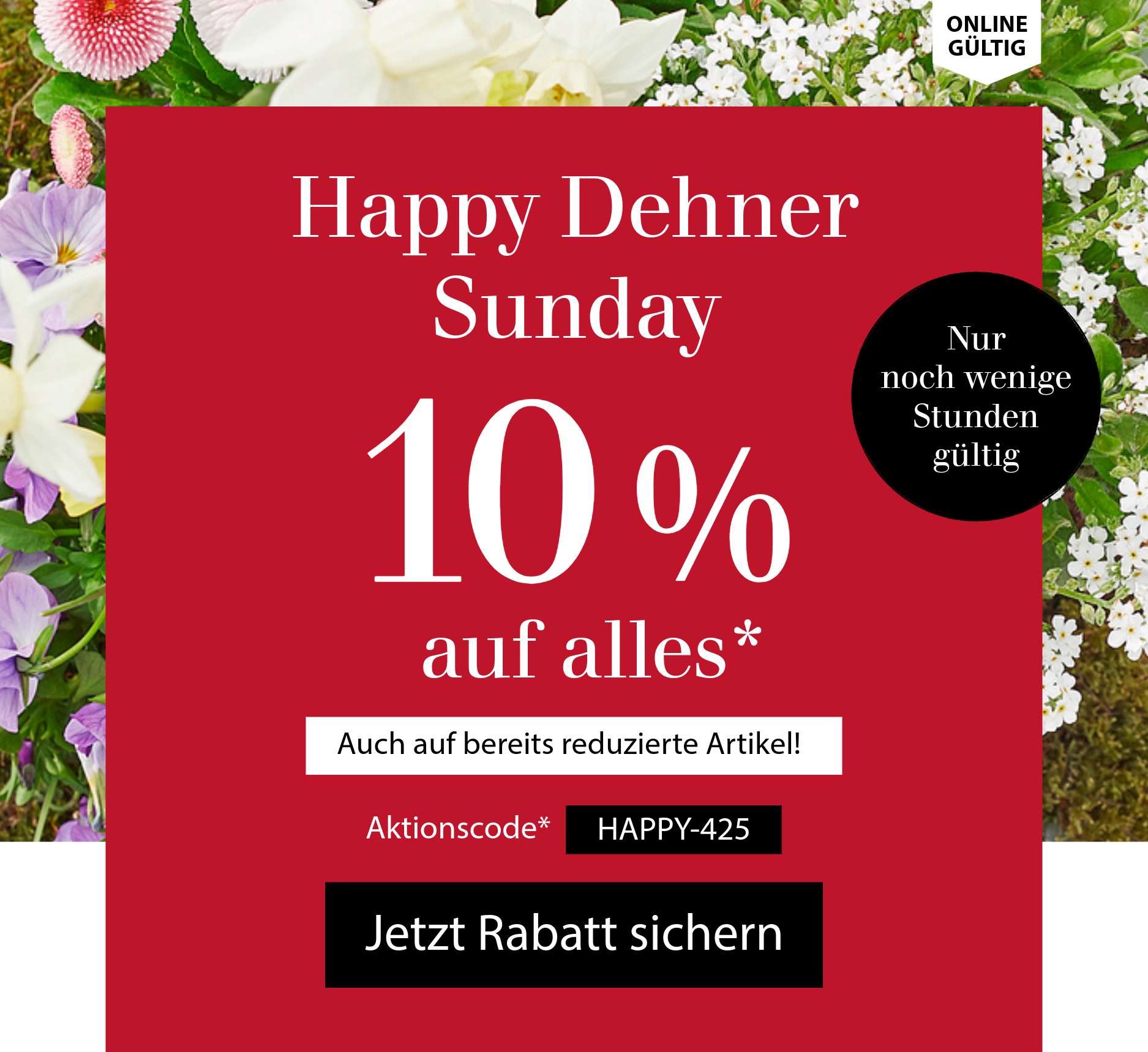 10 % auf alles - Happy Dehner Sunday - Nur noch wenige Stunden gültig