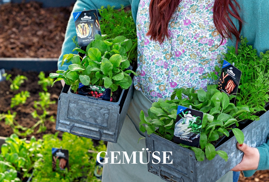 Gemüse
