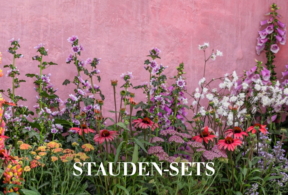 Stauden-Sets
