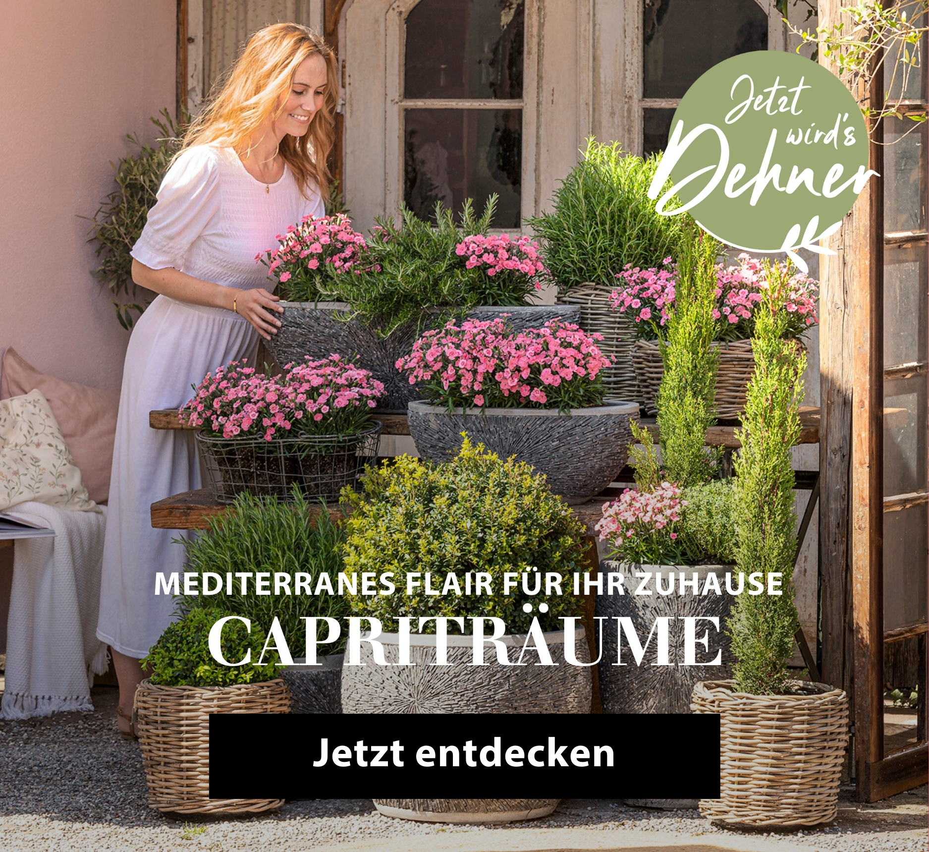 Capriträume