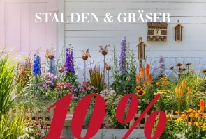 Stauden & Gräser