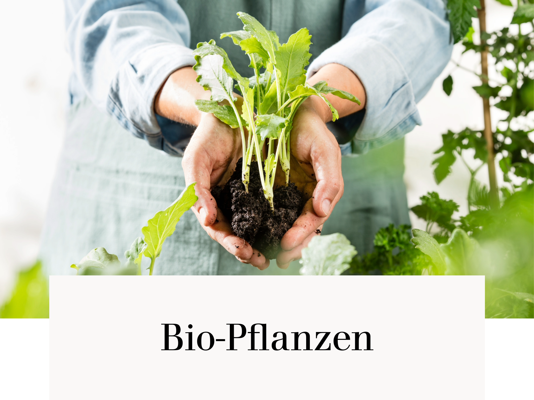 Bio-Pflanzen