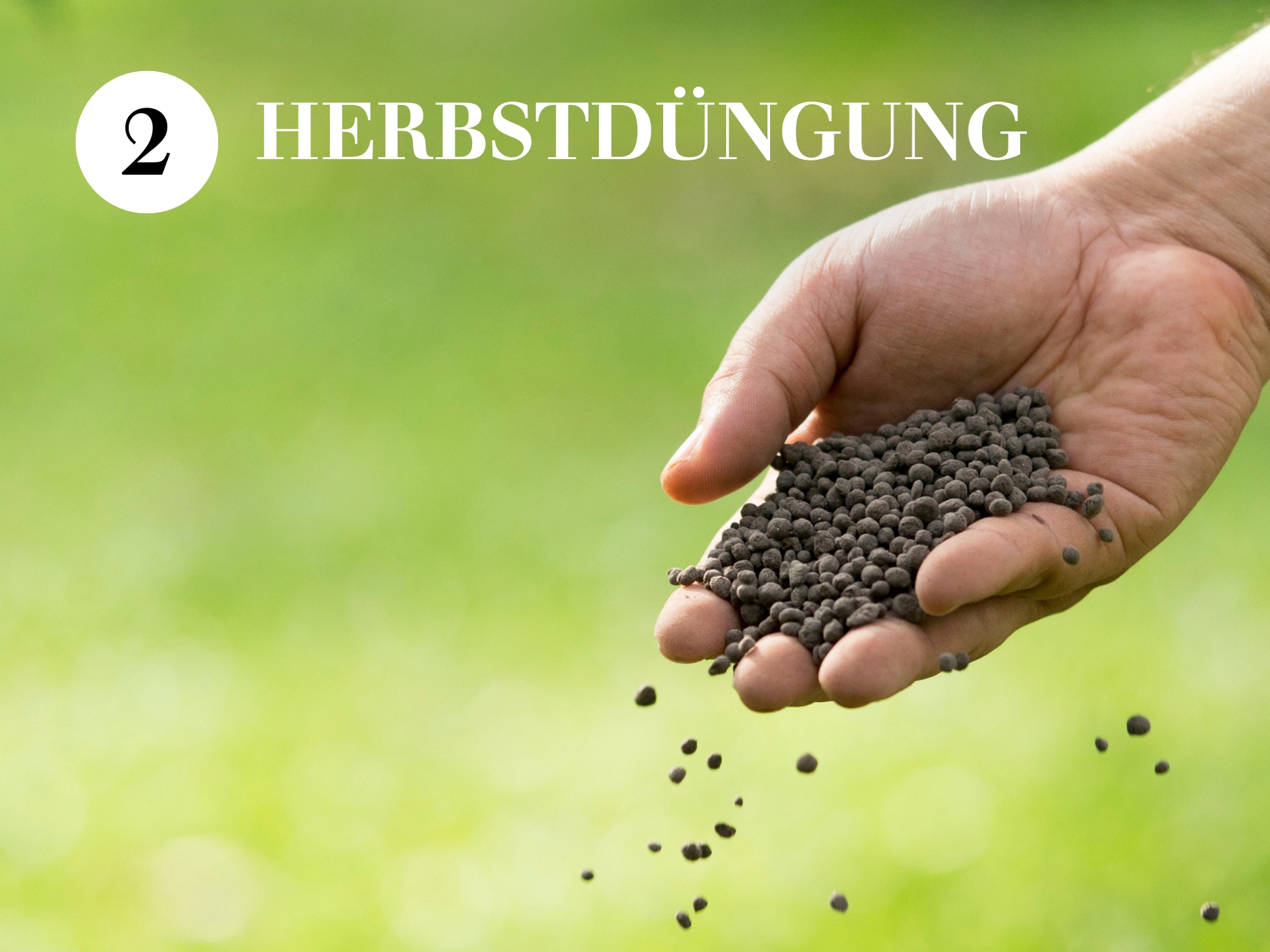 Herbstdüngung