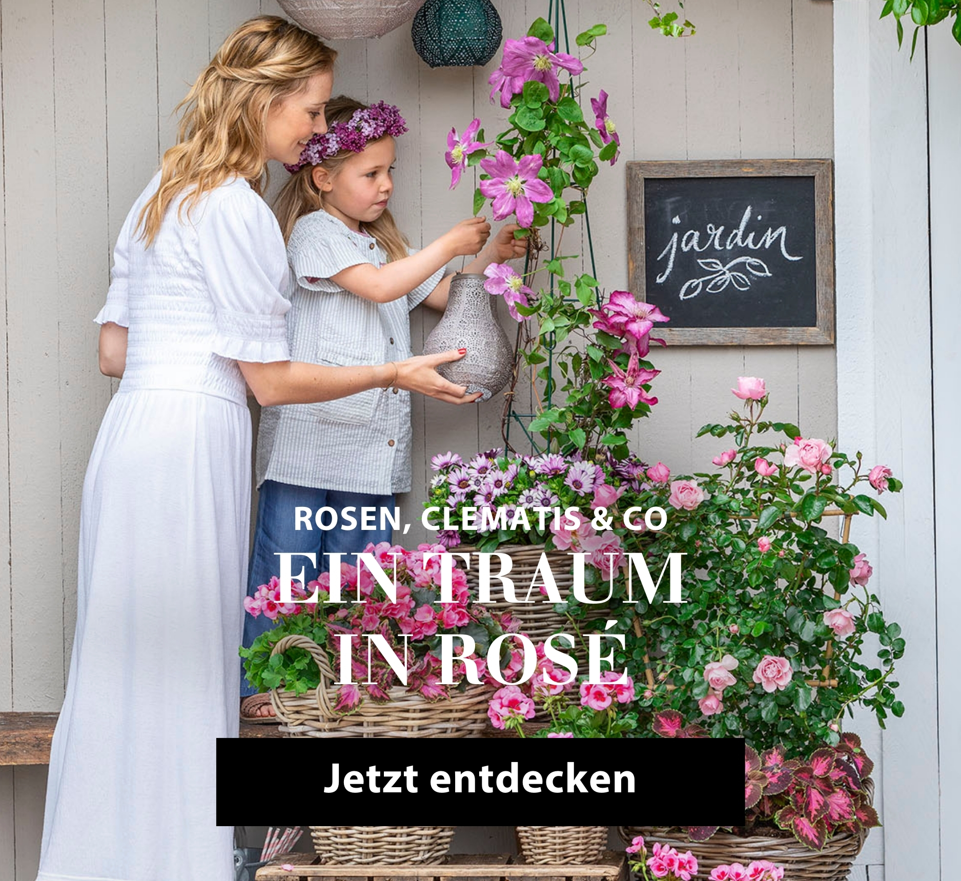 Ein Traum in Rosé