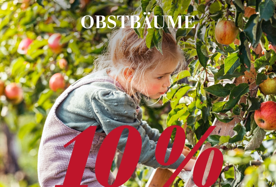 Obstbäume