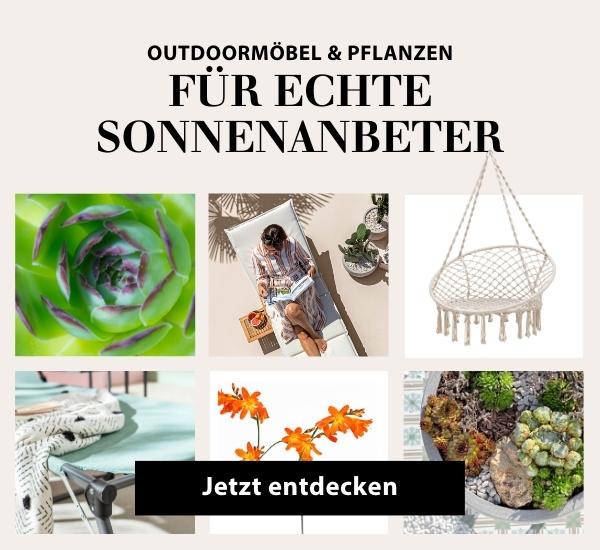 Sonnenanbeter