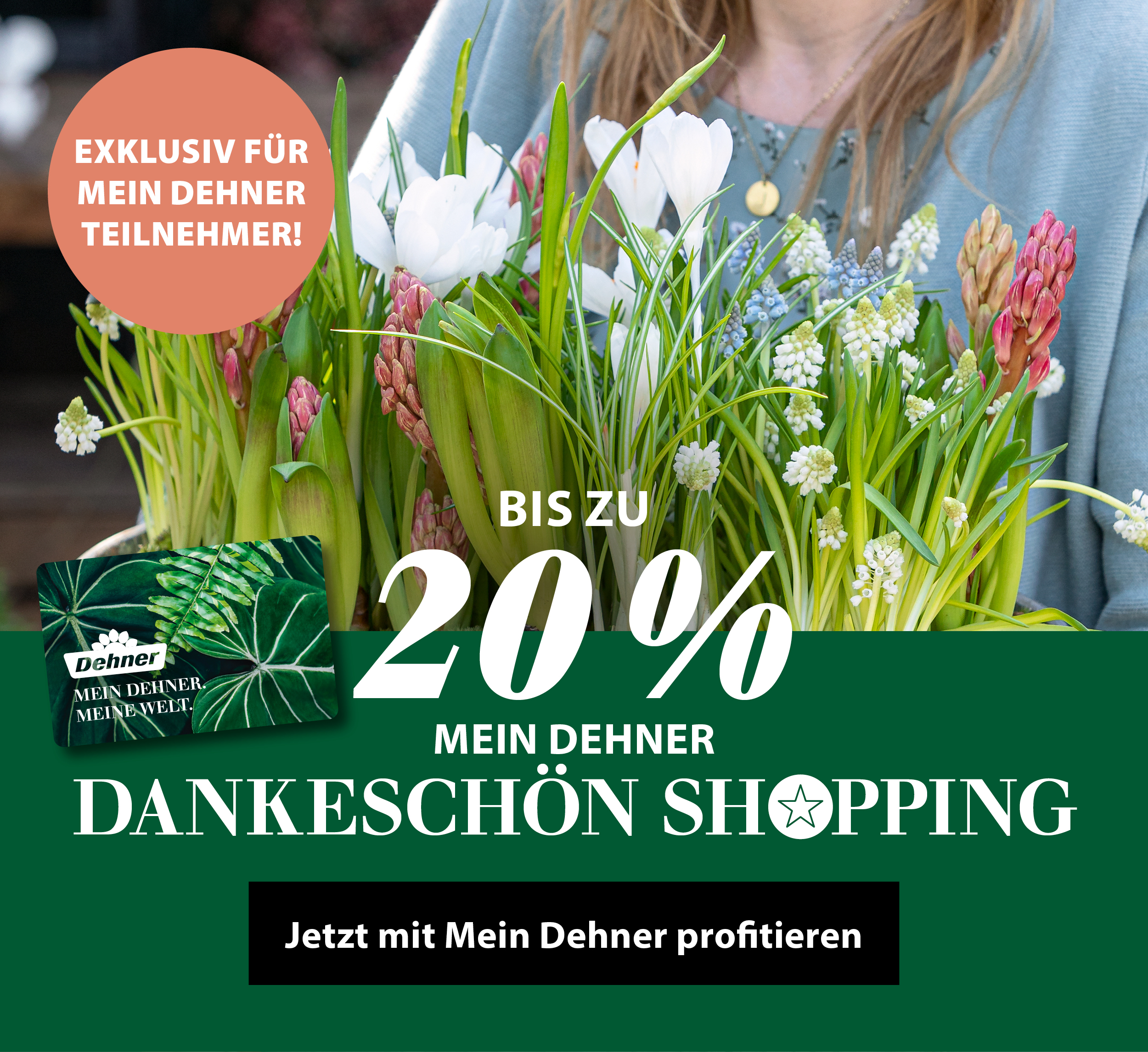 Exklusive Mein Dehner Aktion: Bis zu 20 % sparen