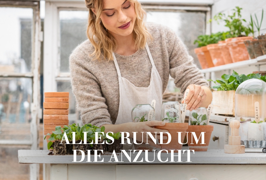 Alles rund um die Anzucht
