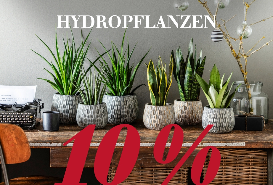 Hydropflanzen