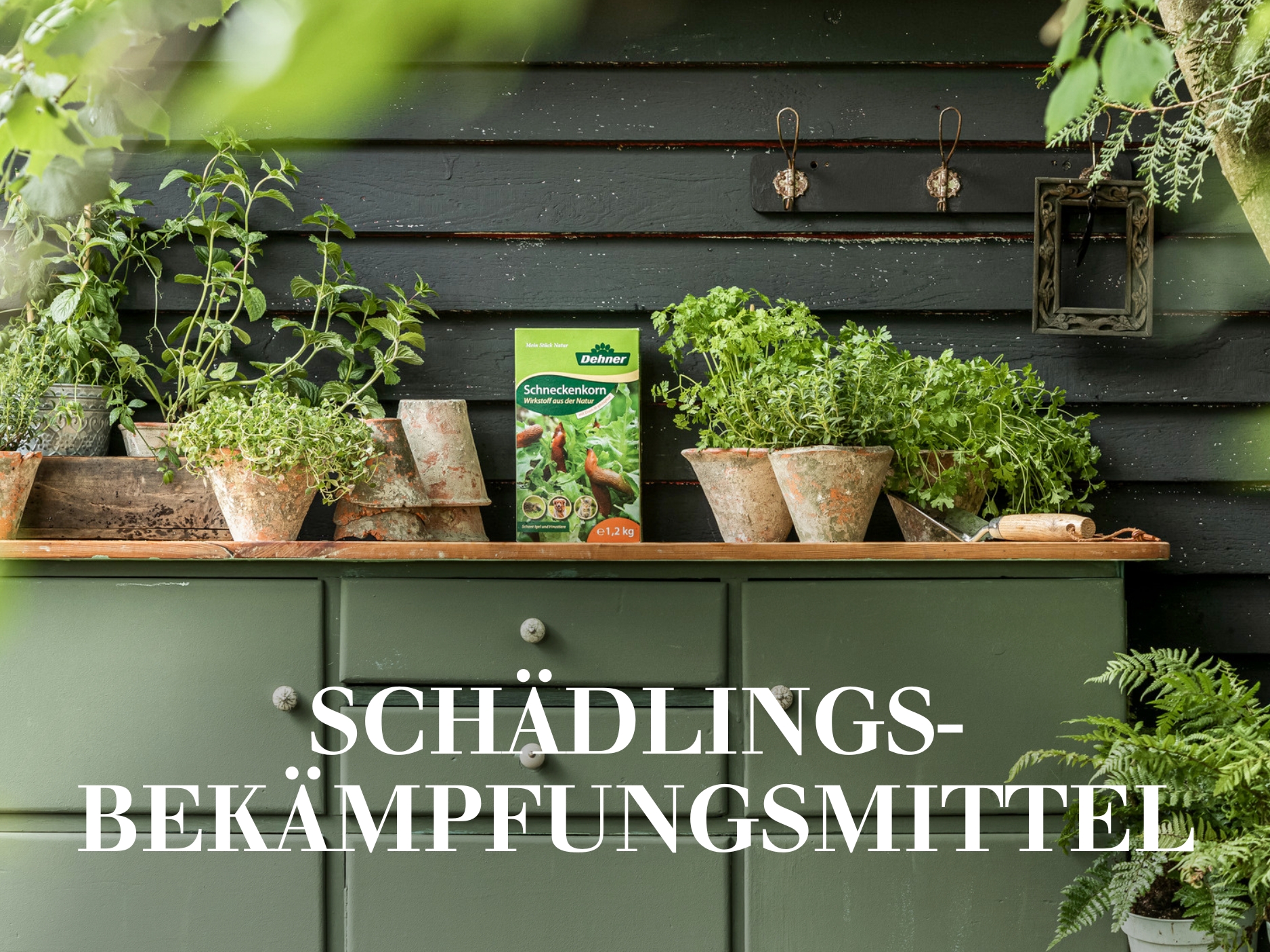 Schädlingsbekämpfungsmittel