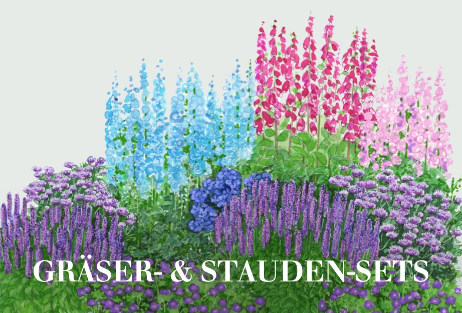 Gräser- & Stauden-Sets