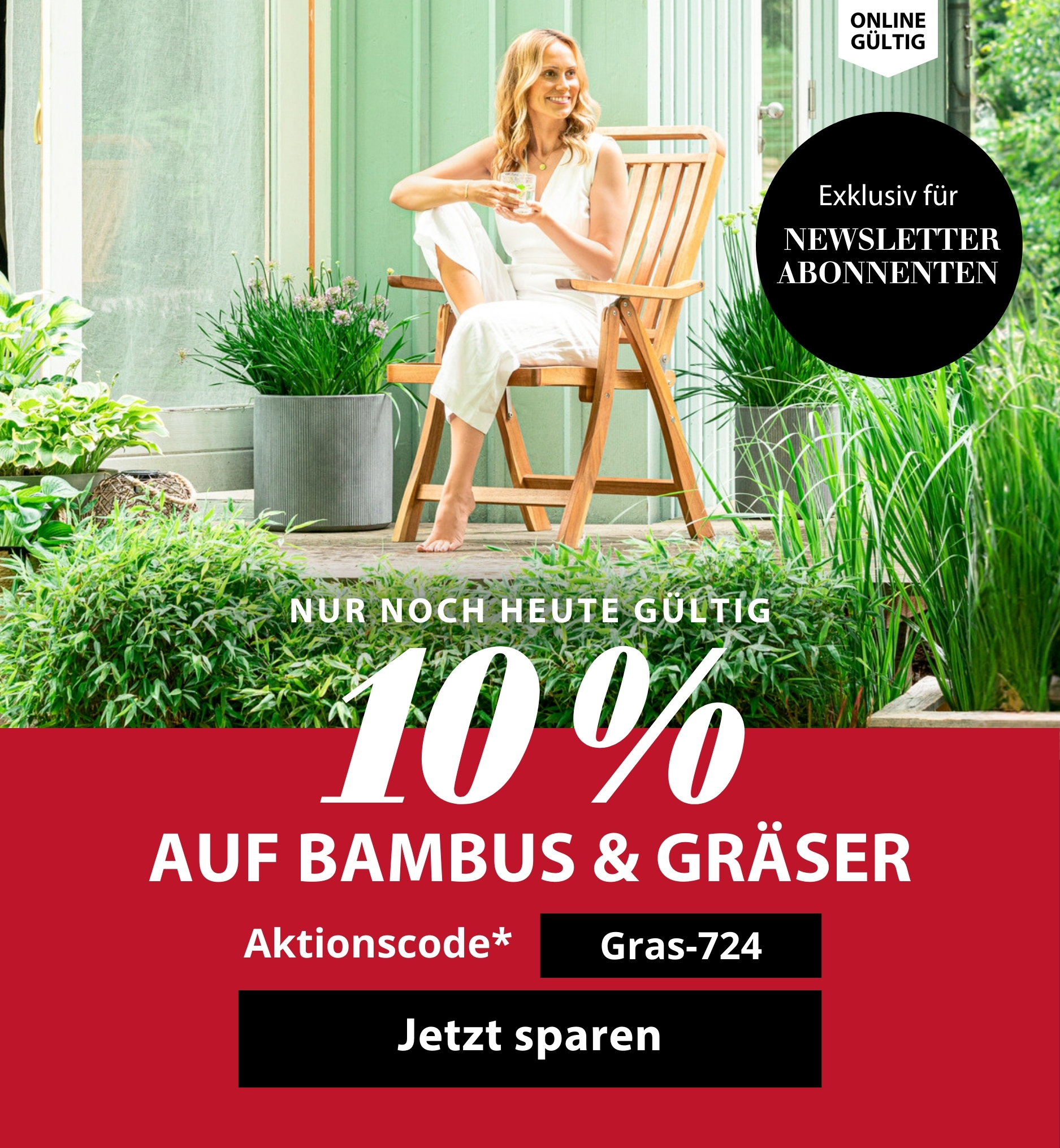 Nur noch heute gültig - 10 % auf Bambus & Gräser