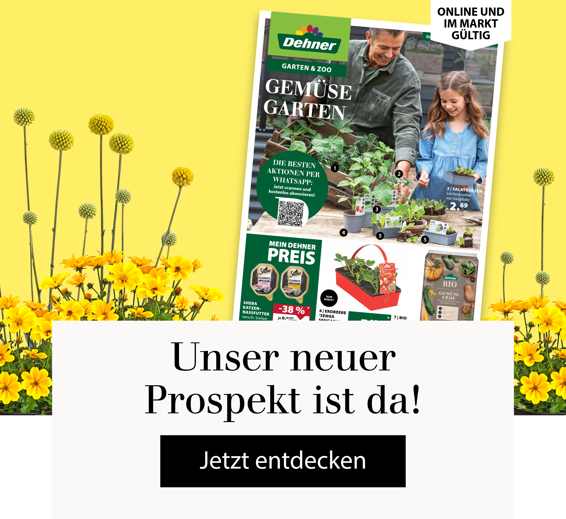 Unser neuer Prospekt ist da! Jetzt entdecken