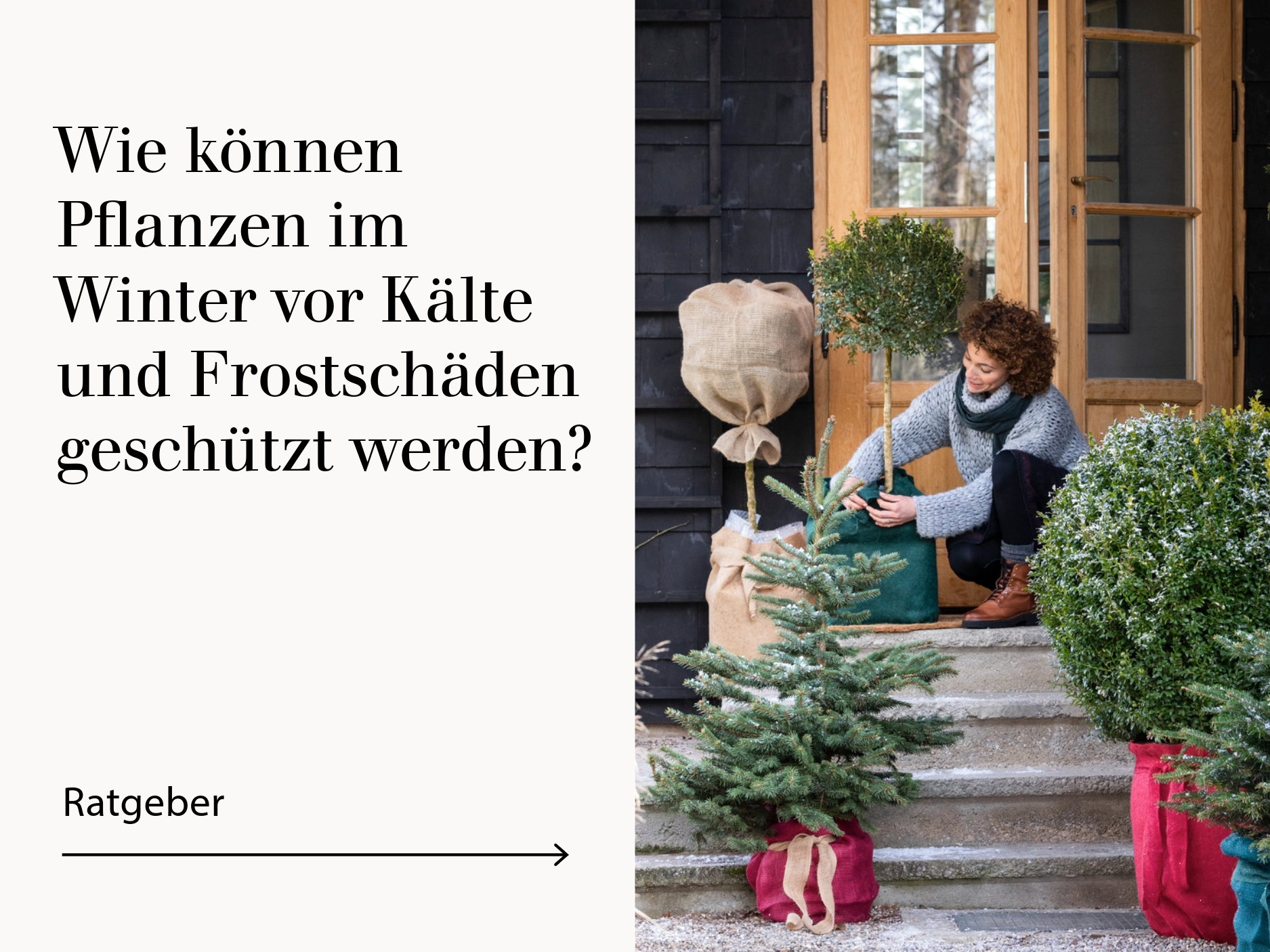 Ratgeber Winterschutz