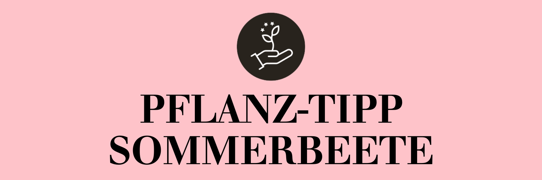 Pflanz-Tipp Sommerbeete