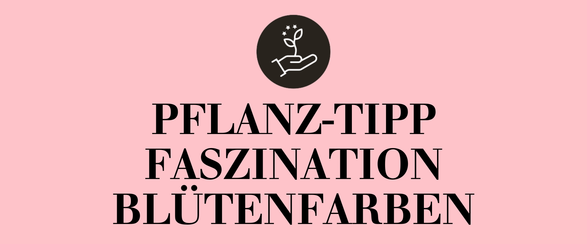 Pflanz-Tipp Faszination Blütenfarben