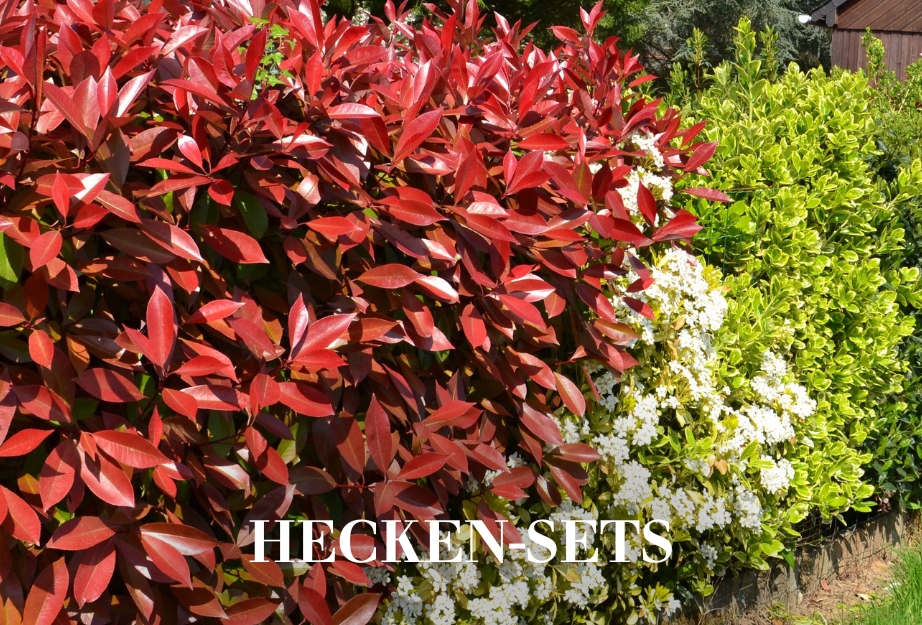 Hecken-Sets