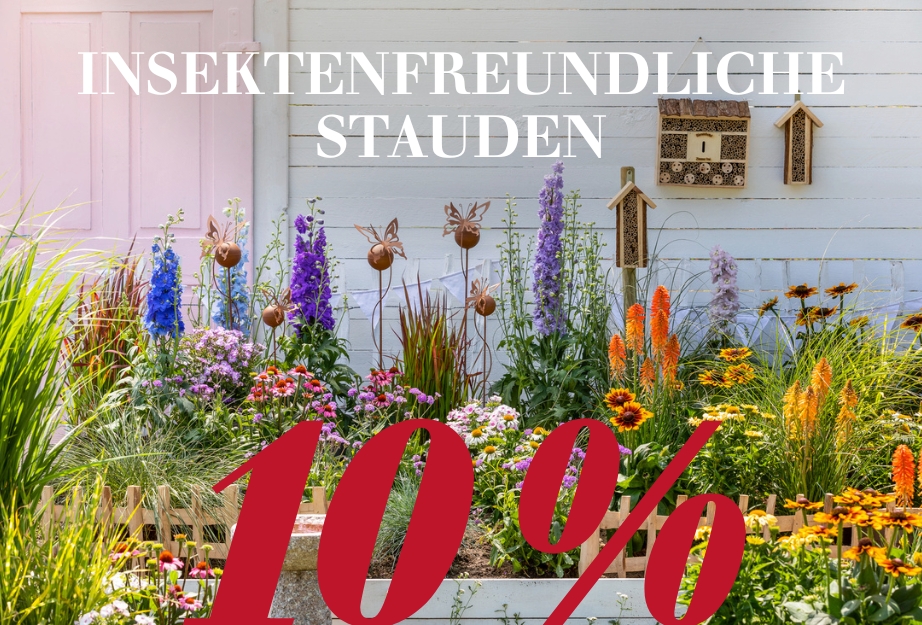 Insektenfreundliche Stauden