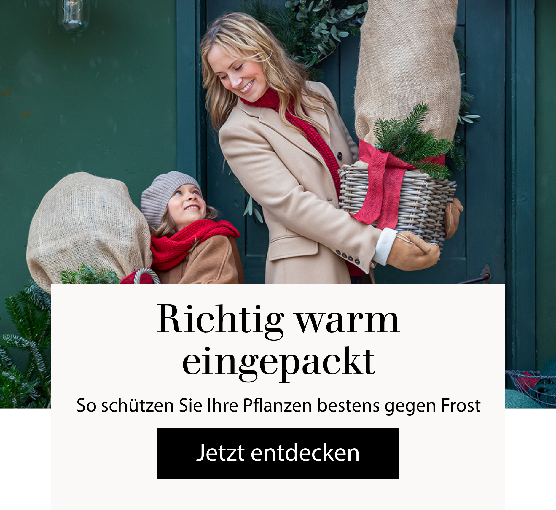 Richtig warm eingepackt - So schützen Sie Ihre Pflanzen gegen Frost