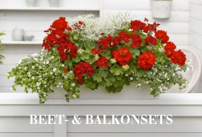 Beet- und Balkonpflanzensets