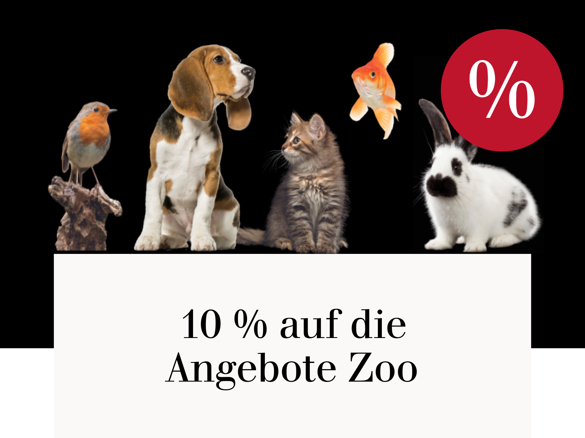 10 % auf die Angebote Zoo