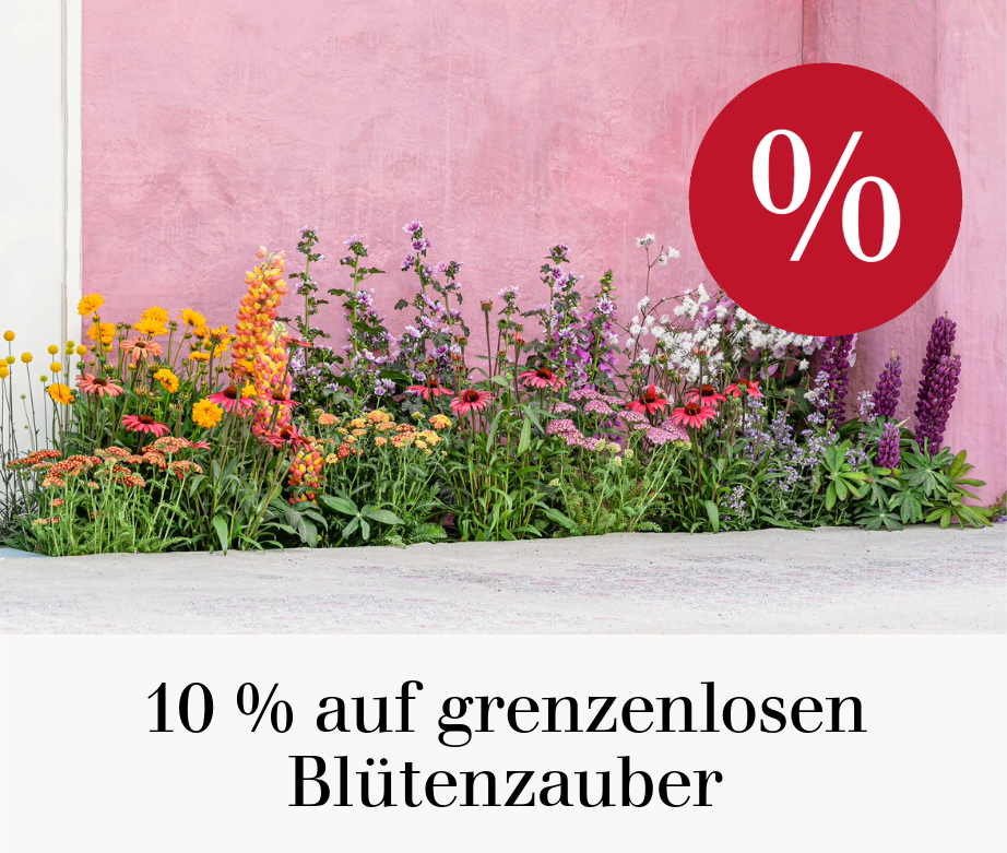 10 % auf grenzenlosen Blütenzauber