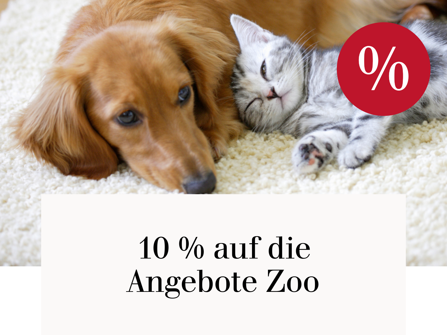 Doppelt sparen - 10 % zusätzlich im Code* Spartag-1024 auf die Angebote Zoo
