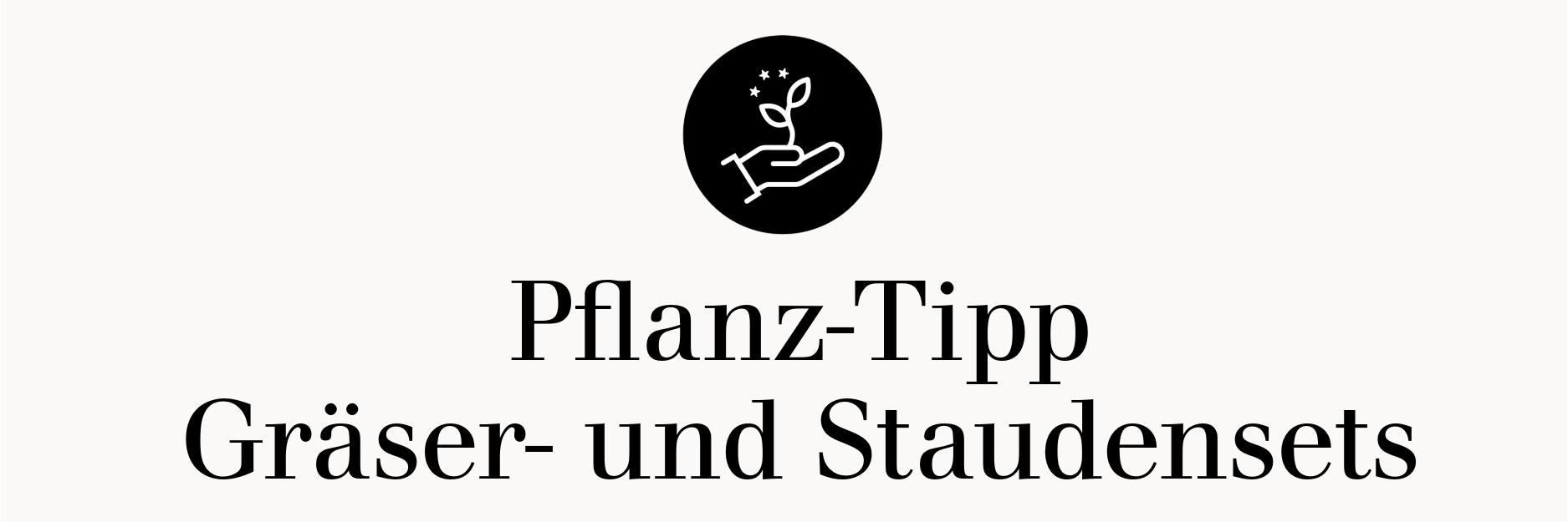 Pflanztipp Gräser- und Staudensets