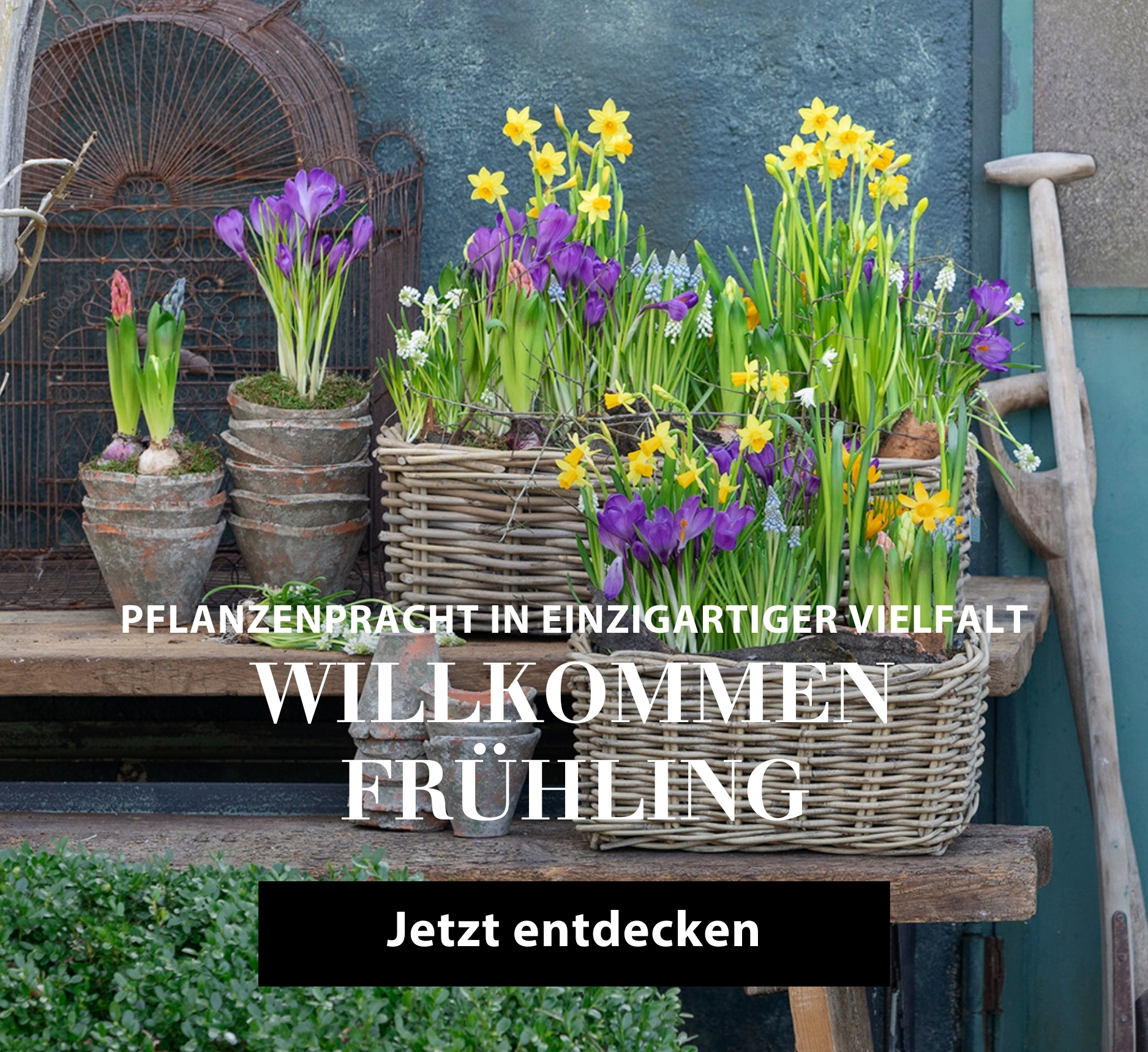 Willkommen Frühling
