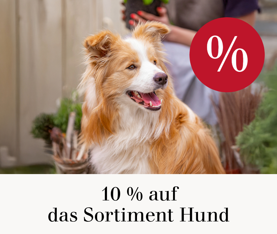 10 % auf Sortiment Hund