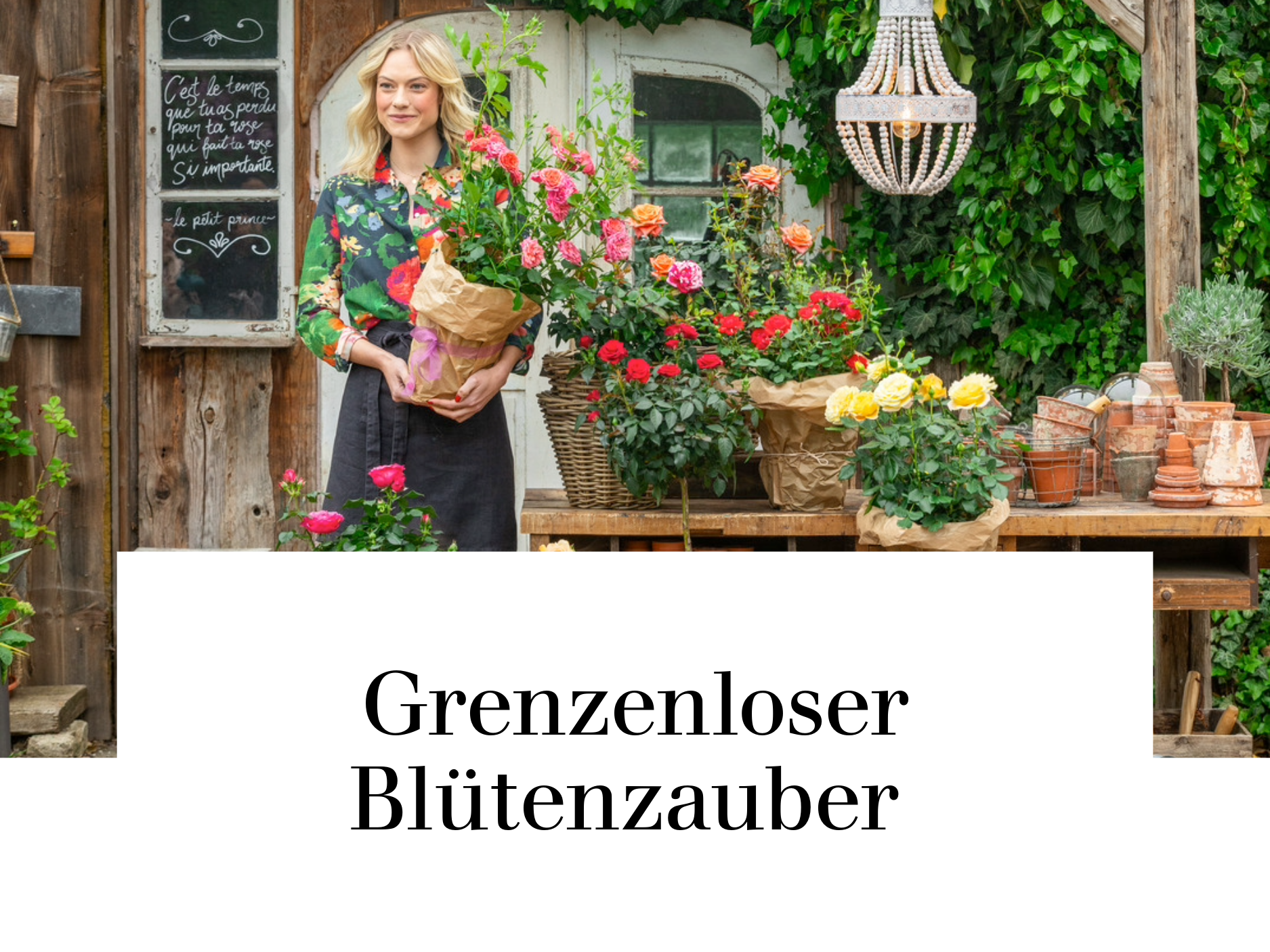 Grenzenloser Blütenzauber