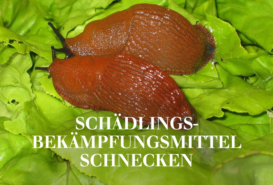 Schädlingsbekämpfungsmittel Schnecken