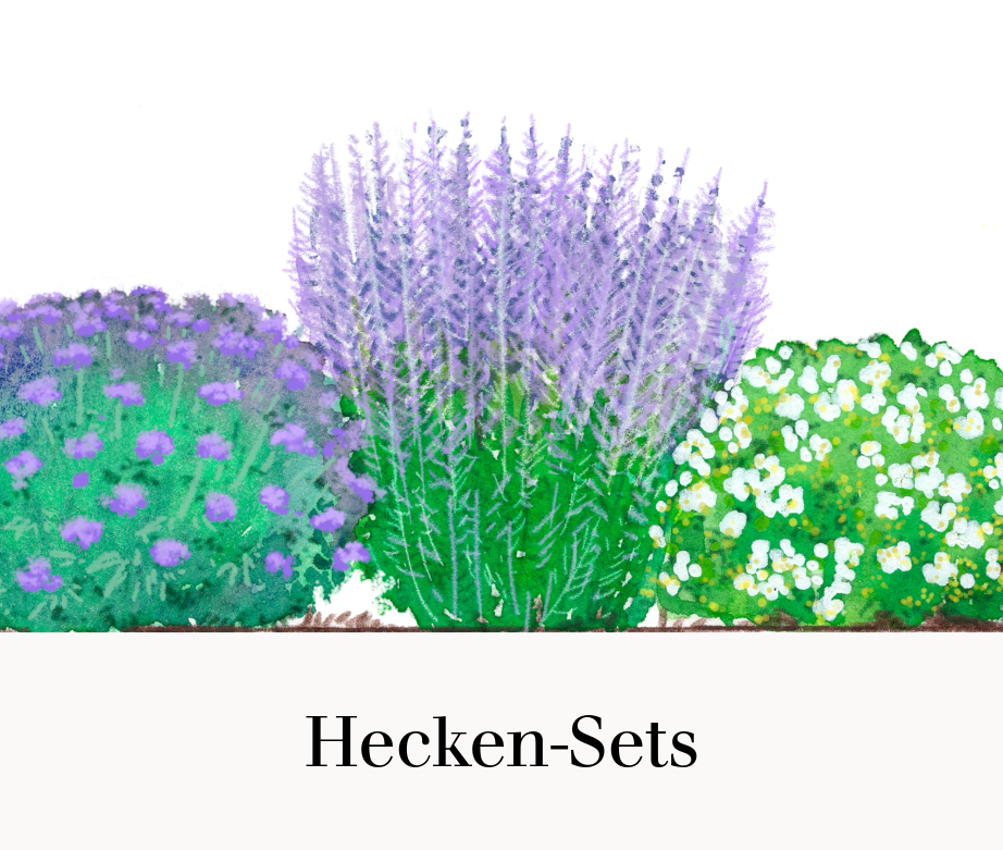 Hecken-Sets