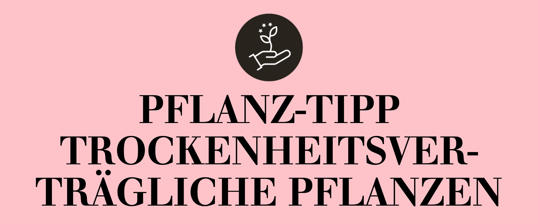 Pflanz-Tipp Trockenheitsverträgliche Pflanzen