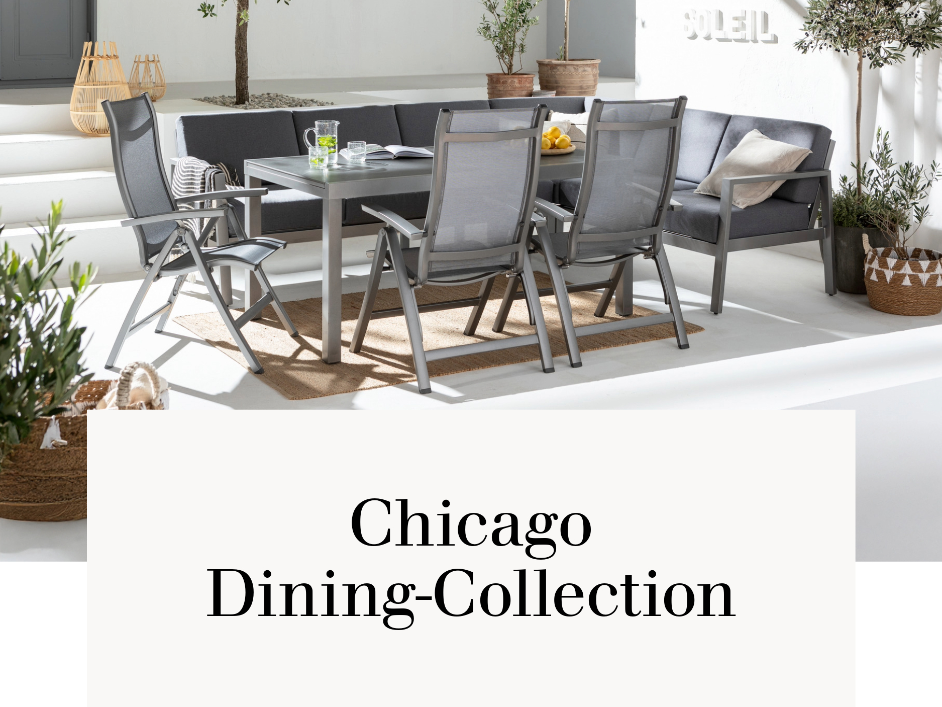 Chicago Dining-Collection